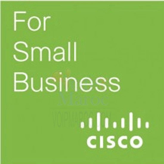 Cisco small busniss