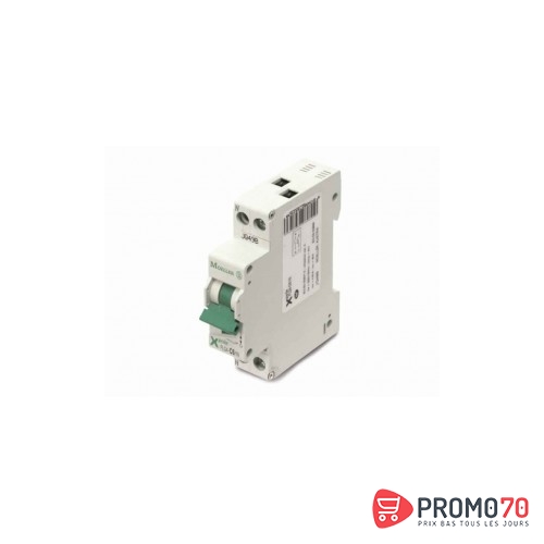 Disjoncteur modulaire 1p+n c 6a 4,5ka