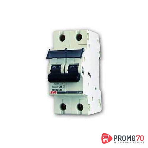 Disjoncteur modulaire 2p c 6a 6ka