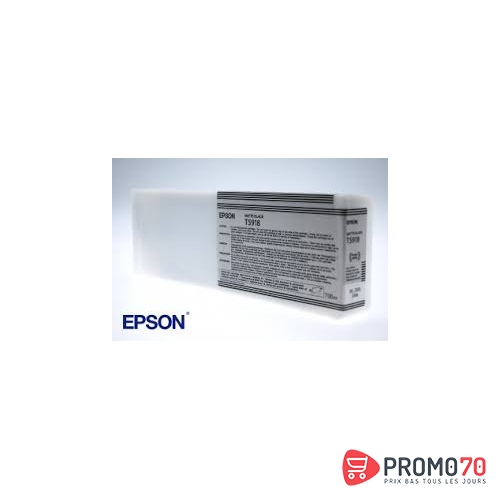 Encre pigment noir mat sp 11880 (700ml)