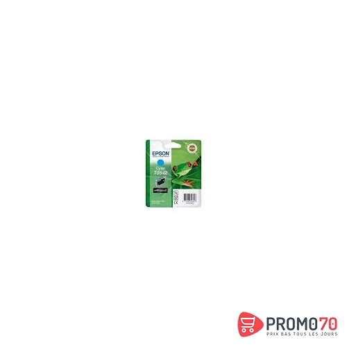 Epson encre cyan r800-r800r-r1800