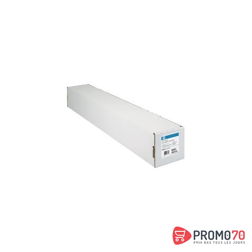 Hp prem vivid color backlit film 42x100