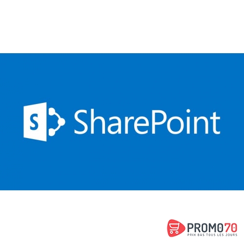 Sharepoint server 2019 sngl olp nl