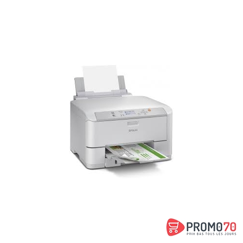 Workforce pro wf-5110dw  a4